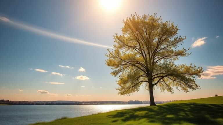 fair weather means clear